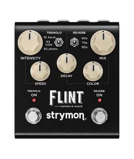 Strymon Flint V2