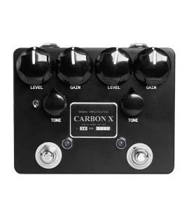 Brown Carbon X