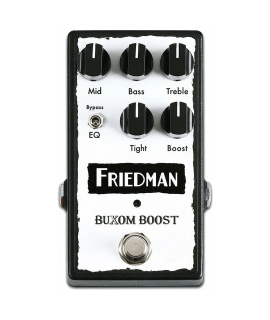 Friedman Buxom Boost
